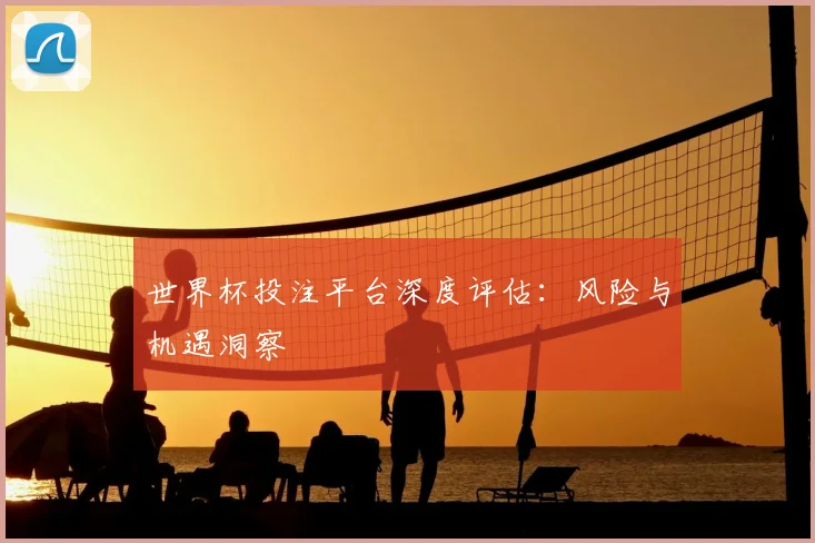 世界杯投注平台深度评估:风险与机遇洞察