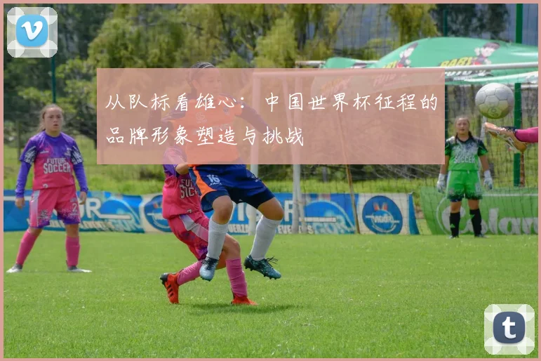 从队标看雄心：中国世界杯征程的品牌形象塑造与挑战