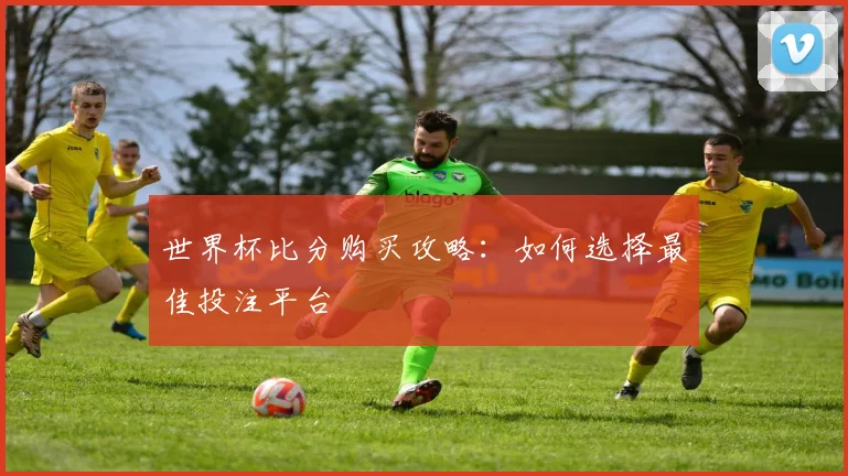 世界杯比分购买攻略：如何选择最佳投注平台