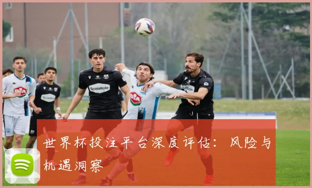 世界杯投注平台深度评估:风险与机遇洞察