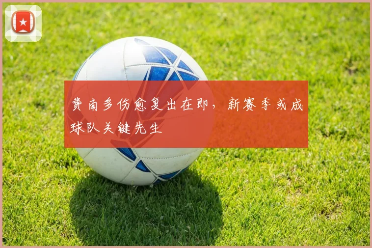 费南多伤愈复出在即，新赛季或成球队关键先生