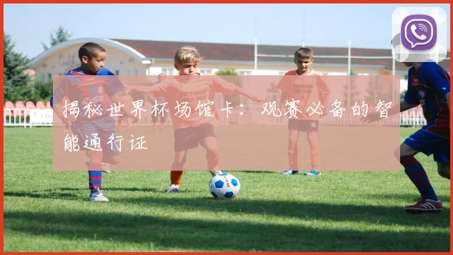揭秘世界杯场馆卡：观赛必备的智能通行证